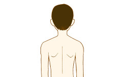 【筋トレ】ダンベルだけでも背中って大きくできる？