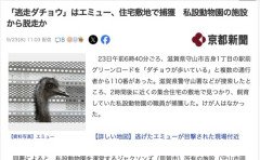 【滋賀】「ダチョウが逃走している」と複数の通報、実はエミューだと判明
