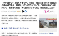 【千葉】印旛沼決壊で養殖錦鯉10万匹が脱走　被害総額10億円か