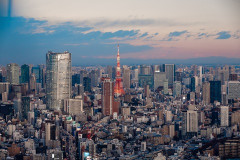 東京が好きだったけれど、色々あって東京から離れた地方に移り住むことになった