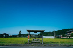 田舎に帰省中、深夜徘徊しようと街に出てみたものの