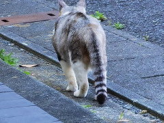 嫁は娘を自分の実家にしか連れて行かない。俺「俺も親に娘の成長を見せたい。俺一人で連れてく」嫁「ダメ！泣いたらどうするの？」←そんなのミルク多めにやりゃいいだけの話だろ？