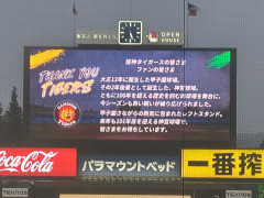 【阪神】ヤクルトから選手、虎党へ心温まるメッセージwwww