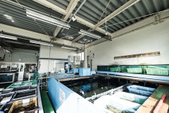 【悲報】65年の歴史がある養魚場、ガチで逝く・・・・・