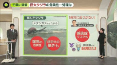 【解説】巨大クジラが千葉に漂着　“爆発”の危険性も　多額の費用が…自治体を悩ます「処理方法」とは