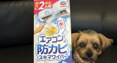 X民「エアコンのスキマを掃除してみるわ」→衝撃の動画が投稿される・・・