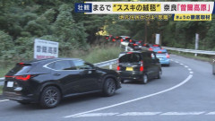 【速報】欧州「10月分ガソリンがない！」米「軽油高騰！」日本の車カス「ススキ見るのに渋滞2時間」平和すぎｗ