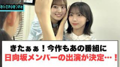 きたぁぁ！今作も日向坂メンバーがあの番組に出演決定！！[日向坂46]