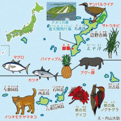 【悲報】日本人さん「沖縄県と沖縄県民大嫌いです」ｗｗｗｗｗｗｗｗｗｗ