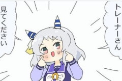【ウマ娘】可愛いし、何なら戦績はウマ娘の中でも上位の普通の子