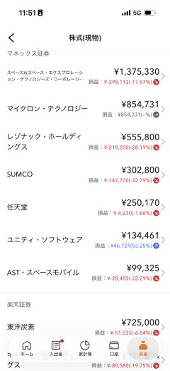 【画像あり】ワイ、レバナスで失敗、ビットコインで失敗、半導体に全て賭けた結果ｗｗｗｗｗ