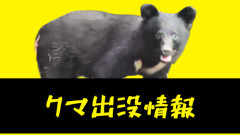 【クマ被害】弘前の男性が秋田県で登山中に襲われる　顔ひっかかれ右腕かまれたか