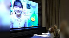 【原点】初めて大田美月さんを見たときの猫の反応