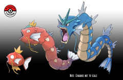 外国人「説得力を出すためにポケモンの進化の中間を考えてみた」