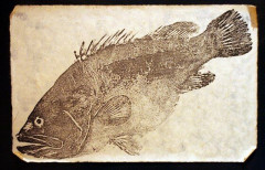 海外「日本の魚拓という記録方法をやってる人はいるだろうか？」日本から世界に広まった魚拓に対する海外の反応