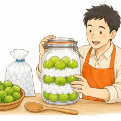 梅仕事はじめたばかりやけど質問ある？【梅シロップ・カビ対策】