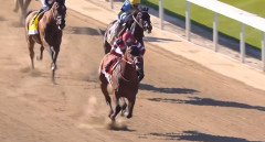 しかし今週は日本馬が海外G1勝った記念の週なのにあまり話題に上がらなかったわね