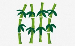 竹「燃えにくいです」「すぐ育ちます」「使い道多いです」←この最強植物