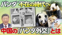 【悲報】習近平「どうだ高市、トランプは頭下げたからパンダくれてやったぞ」