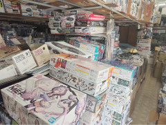 シャッター半分しか開いてない模型屋入ったらなかなかスゴかったわ