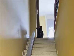 彼が２階から下りてくる。なんでそうなるの？ → いつも階段でこうなります…