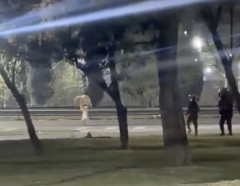 【閲覧注意】クソガキ泥棒、警察から見事に脱出・鮮やかに姿を消す