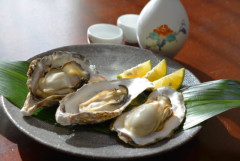 ぶっちゃけ牡蠣とかウニとかカニって美味くないよね