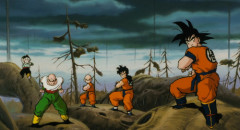 ドラゴンボールの味方キャラで何の役にも立ってない奴いるよな