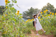 俺が８歳の時に両親が亡くなって、当時24歳だった従姉に引き取られた。次第に彼女に恋するも、彼ができて幸せそうな従姉を見るとそれもまぁいいと思い始めた。そして3.11を迎える→
