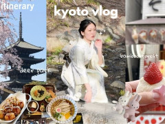 外国人「日本とViaの動画に心奪われてる」Via Liが桜の季節の旅行を楽しんでる