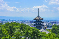 奈良県（人口126万人）　←率直な印象