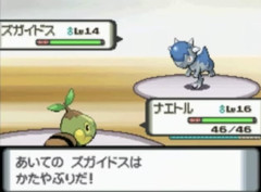 【ポケモン】……！？