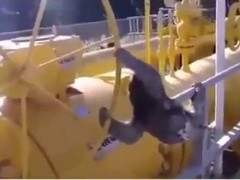 「バルブを開けたのはナマケモノです」配管のハンドルにしがみついて回し続ける動画【海外の反応】