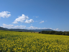 【旅画像】北海道の旅してるんだけどいい加減飽きた