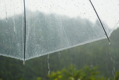 マジでなんかずっと雨じゃない？