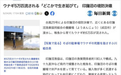 【千葉】印旛沼近くの養鰻場が浸水　ウナギ5万匹流される