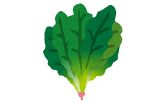 ほうれん草って、おひたしにすると超美味なのに、副作用がやや大きめの野菜ｗｗ