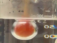 350℃の球は一瞬で冷やされ、1000℃の球は水の中で蒸気の膜に包まれた【海外の反応】