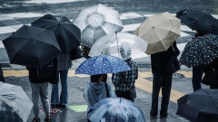 【悲報】東京、31日連続の雨天を記録☔☔☔☔☔
