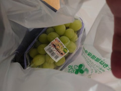 【画像】久しぶりにシャインマスカット買ったわ