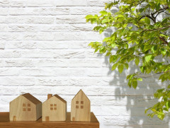 【家を建てる計画】購入した土地隣の樹木が侵入してきて、このままじゃ足場組みにくく屋根にも当たる…
