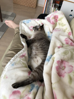 元嫁と別れて１４年。元嫁メール「息子が志望校に合格しました」←なんで俺に相談しないんだよ！１４年で４０万ぐらいは養育費を送ったりしたのに！恩知らずにもほどがある！！