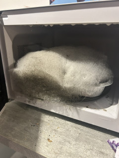 【閲覧注意】レンジに置き忘れた鶏肉、変わり果てた姿で発見される お前らの想像の1.2倍変わり果ててる・・・
