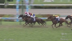 【競馬】スプリンターズSは岩田望騎乗のピューロマジックが逃げ切りV
