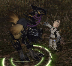 【FF14】魔獣使い、せっかくの魔獣がバディチョコボより頼りないよな