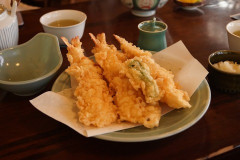 なんで天ぷらの最強具材はエビみたいになってるんだろうな