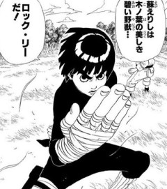 【NARUTO】ロックリーなんで2部で全然出番なかったの
