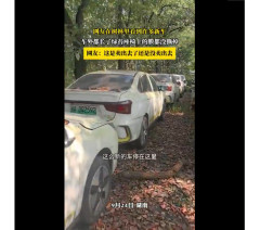 【速報】中国の森の中で大量の新車を発見。国の補助金を騙し取る目的か