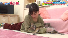 【画像】橋本環奈ちゃんさん、クソガキにガッツリお乳を触られる
