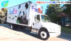 中国のパンダ2頭が米国に到着…習主席「友情の使者」！